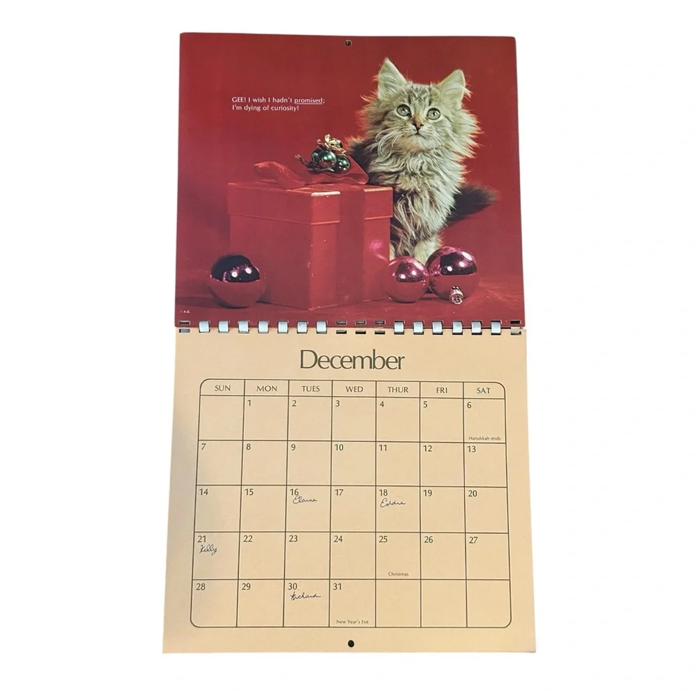 VTG 1975 American Greetings Cat Kitten Memo Calendar Colorful Photos Spiral RARE